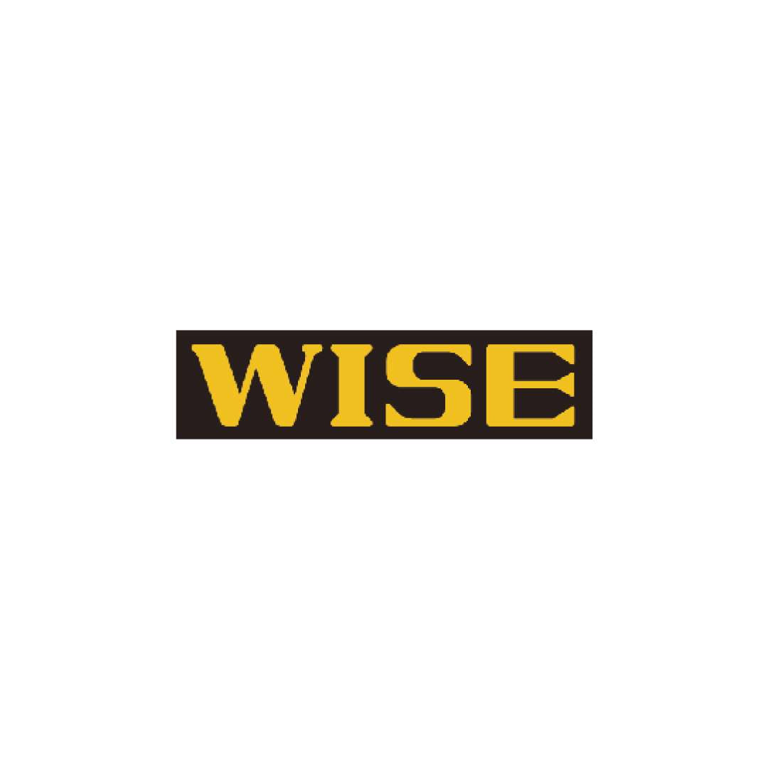 wise logo